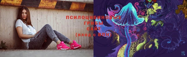 метадон Няндома