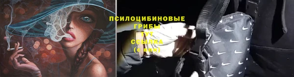 метадон Няндома