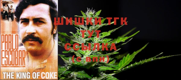 МДПВ Липки