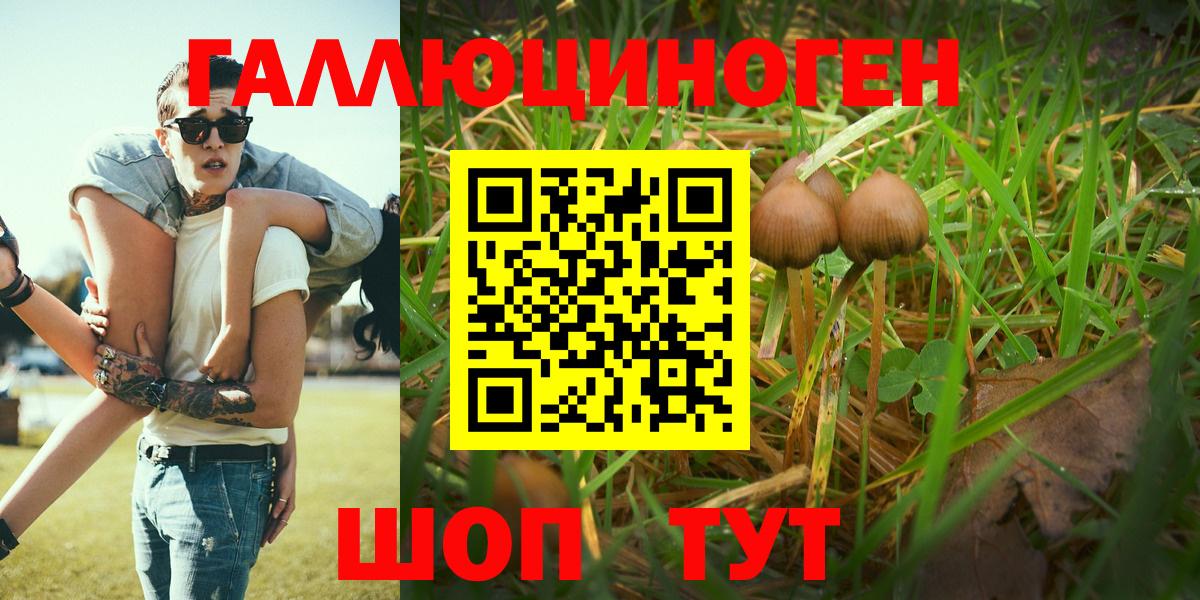 Галлюциногенные грибы Cubensis Брянск