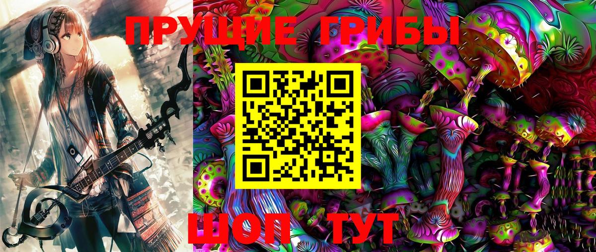 Псилоцибиновые грибы Psilocybine cubensis  где купить наркоту  Псилоцибиновые грибы мицелий  Брянск 