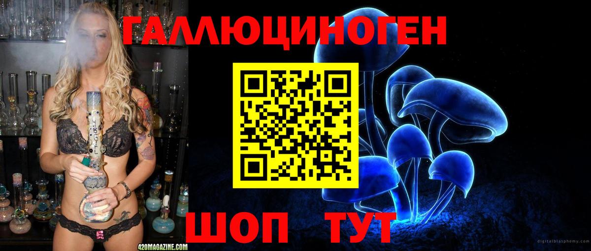 Галлюциногенные грибы GOLDEN TEACHER  Вход с VPN  Брянск 