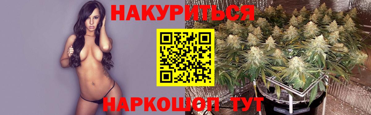 МАРИХУАНА White Widow Брянск